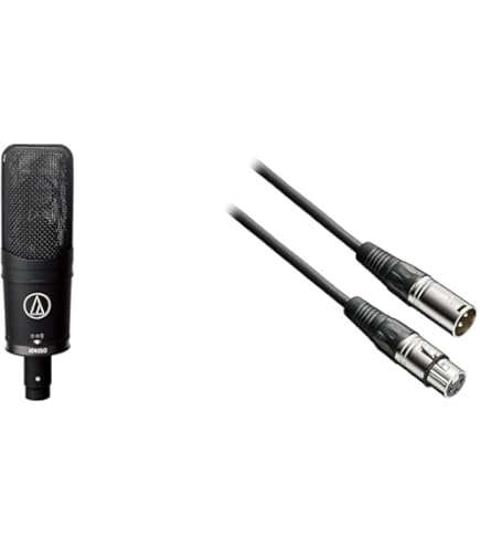 【美品】audio-technica AT4040 コンデンサーマイク audio-technica AT4040 コンデンサーマイク 専用ショック